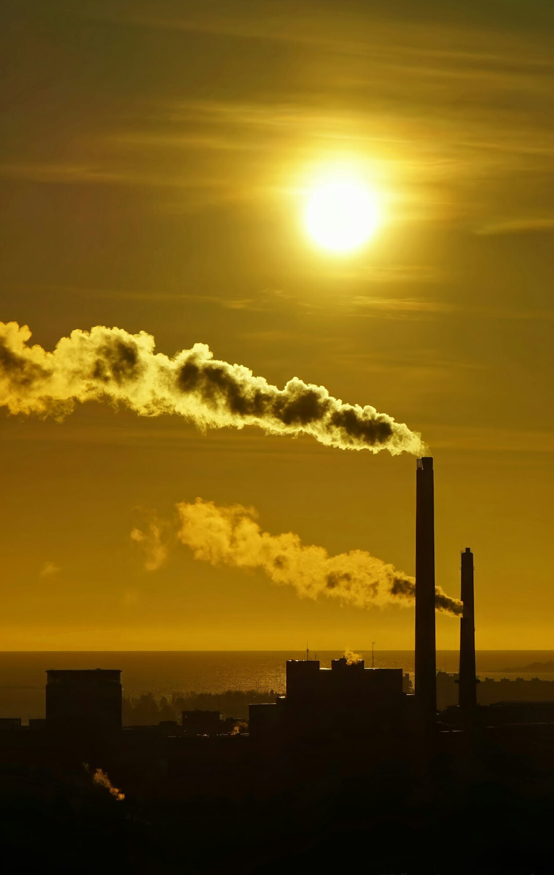 brazilian industry pollution